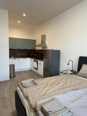 Apartmán Palackého